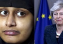 Shamima Begum Will Fly to Brussels to Get UK Better Brexit Deal